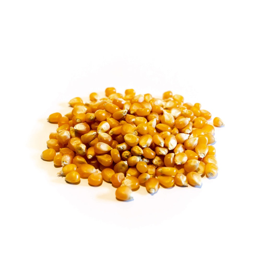 Maiz Curagua (Pop Corn) 350 gr